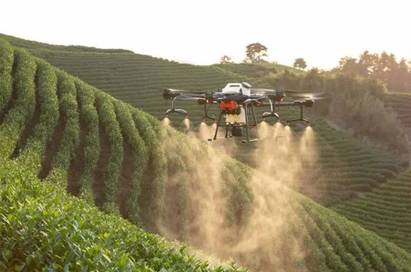 1704626458385918.jpg 未標題-2.jpg